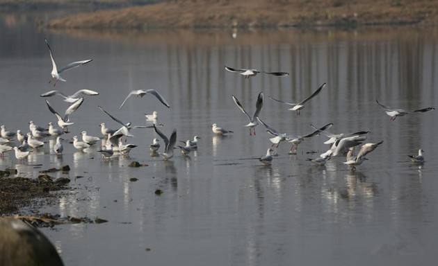 ����Ÿ�������� �����ӹ�԰