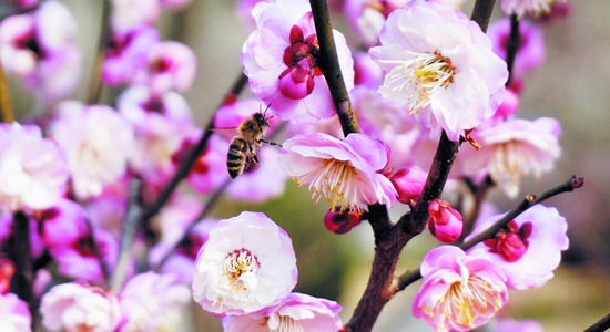 ÷����������