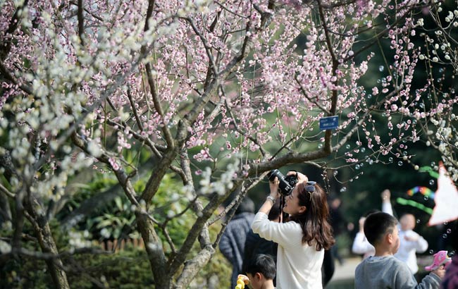 ÷������������